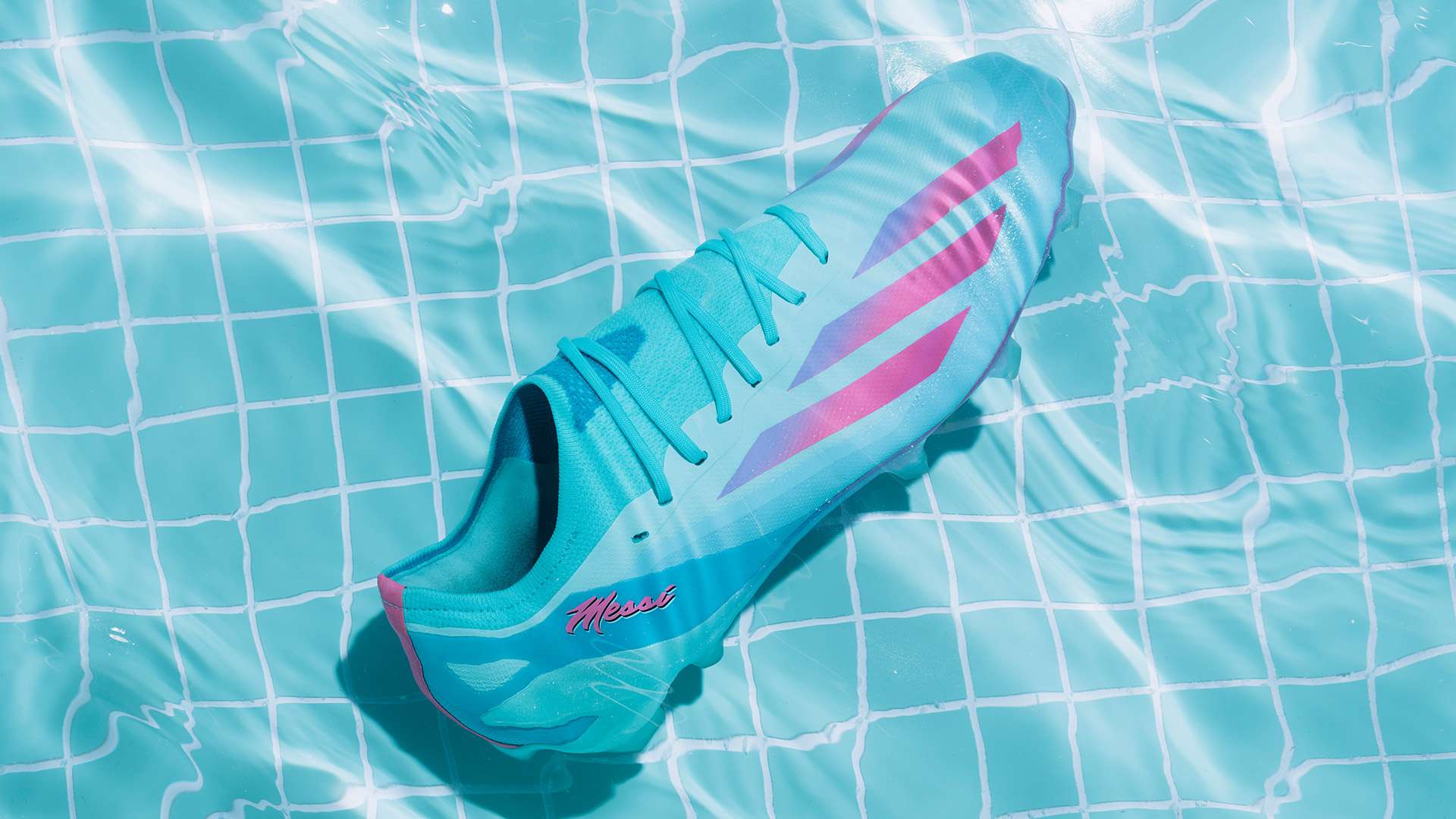 本文将为您 本文将为您