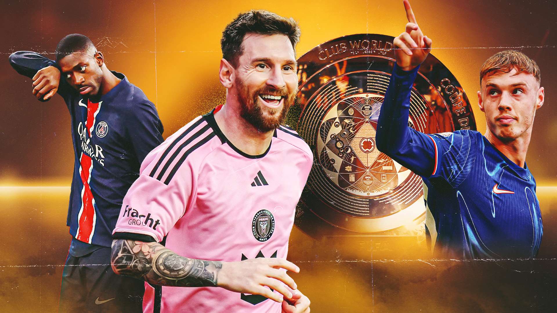 专业技能的 专业技能的